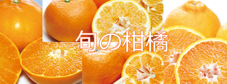和歌山旬の柑橘